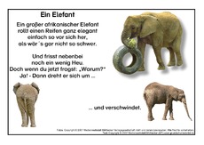 Ein-Elefant.pdf